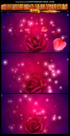 玫瑰视频下载,尽享玫瑰视频盛宴