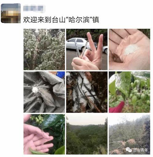 结冰的视频,捕捉冬季结冰奇观